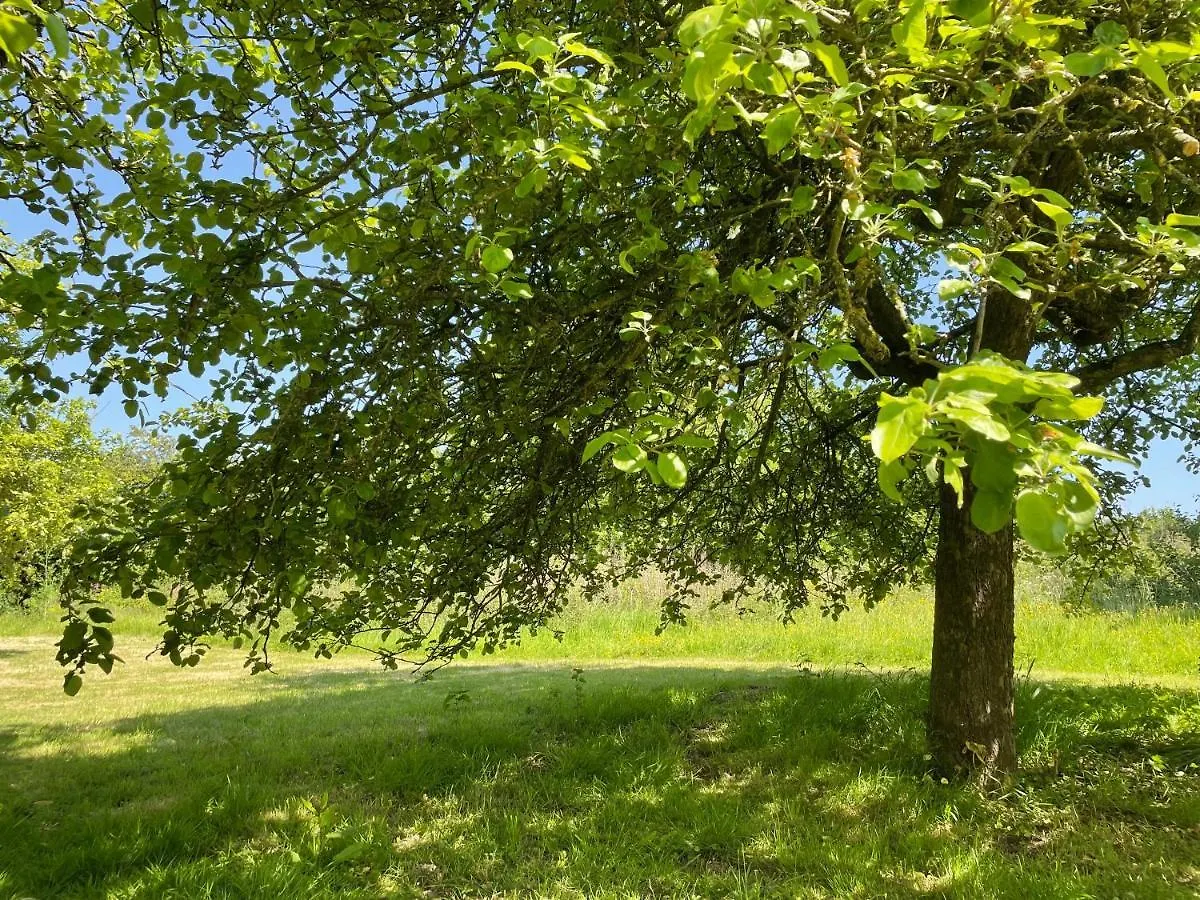 Ashclyst Farm House, Broadclyst, Near Exeter, Devon Hotel United Kingdom